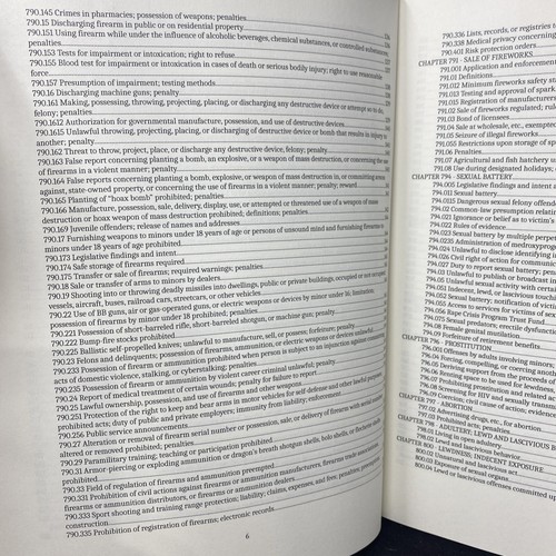 Florida Criminal Code: United States of America 2022 - Picture 8 of 21