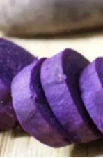 15 Purple Sweet Potato Plants 