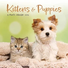 Carousel Calendars,  Kittens and Puppies 2026 Mini Wall Calendar, 7'' X 7'', 16-
