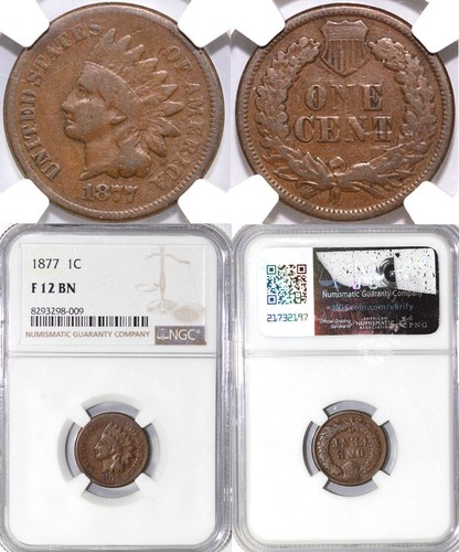1877 1c Indian Head Cent NGC F 12 - Picture 5 of 5