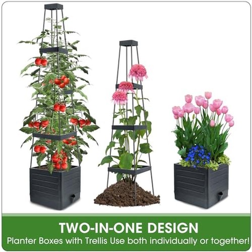Self Watering Raised Garden Bed Planter W/ Trellis Climbing Vegetables 2 Packs - Picture 7 of 7