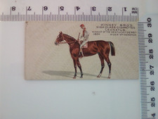 kinney bros famous horses leonatus cigerette card