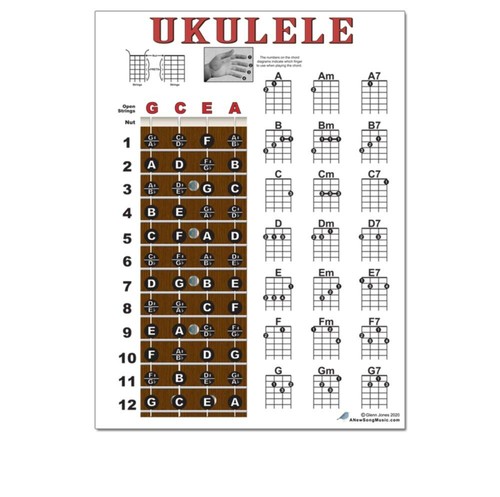 Laminated Ukulele Beginner Chord Chart 8.5x11 Chords Fingerboard Soprano Concert - Picture 7 of 8