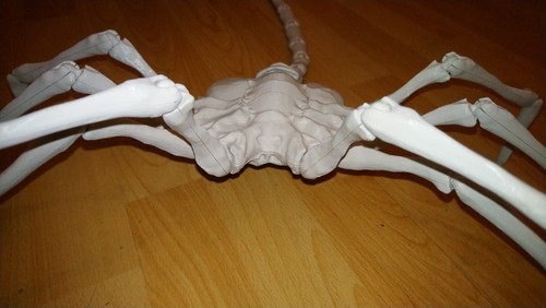 Aliens Ultimate Face Hugger Life Size 40" 3d Printed Xenomorph Agisis - 第 3/9 張圖片