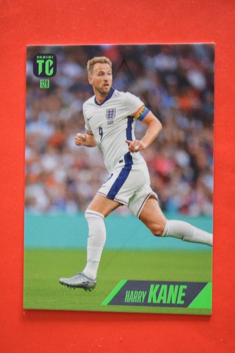 Panini Piłka nożna Top Class 2025 Fifa Soccer - Karty kolekcjonerskie #1 - wybierz #135 - Zdjęcie 130 z 136