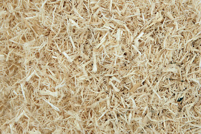 aspen bedding for corn snakes