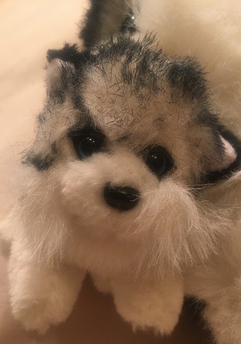 13” Legends Siberian Husky Plush Stuffed Animal Mama w Puppy Dog Cub in Mouth - Picture 3 of 7
