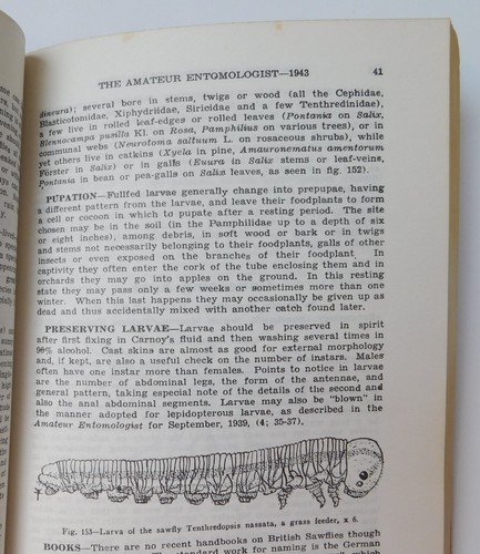 Hymenopterist's Handbook Amateur Entomologist book about bees wasps insects - Picture 5 of 6