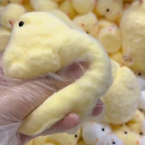 Soft Little Chick Squeeze Fun Toy Stress Releases Sensory Toy for Kids Adults - Picture 3 of 10