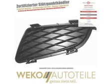 Lüftungsgitter, Stoßfänger links DIEDERICHS 5625047 für MAZDA