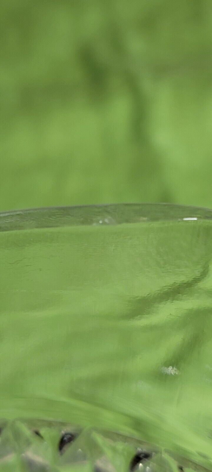 Picture 8 of 8