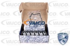 Ölwannnenset V10-5138 VAICO für AUDI SEAT SKODA VW