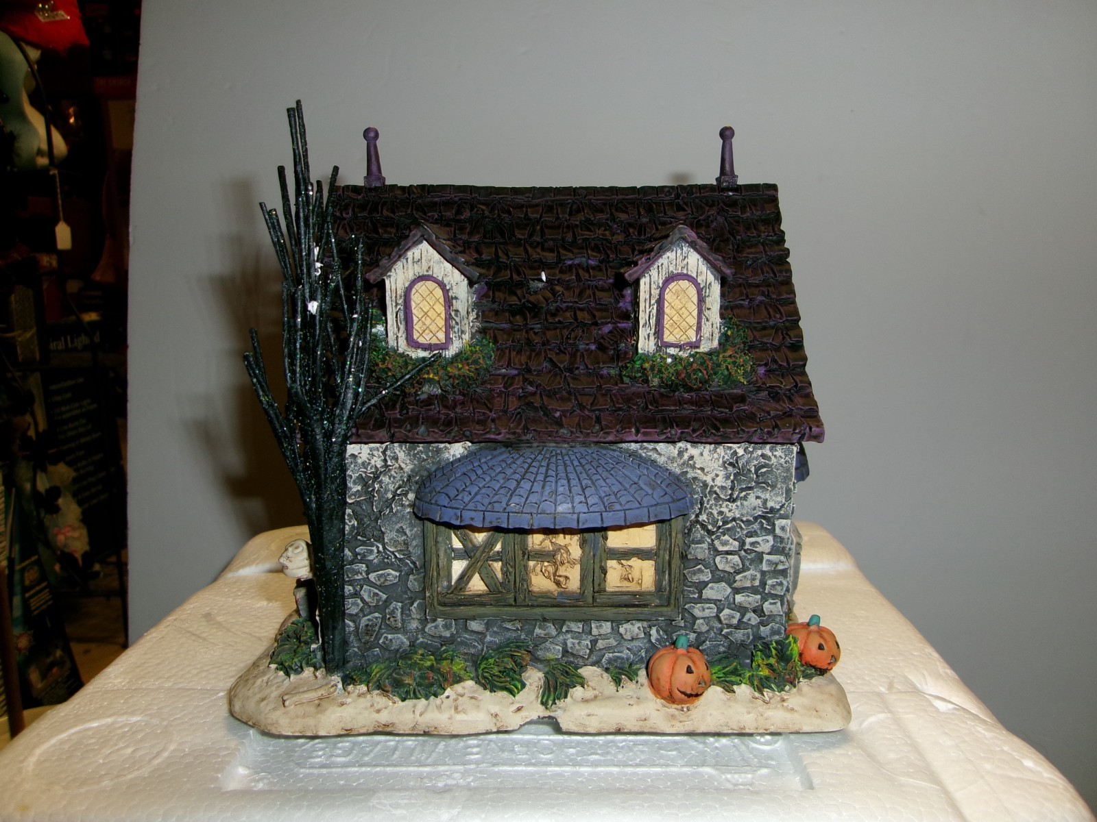 Picture 3 of 11