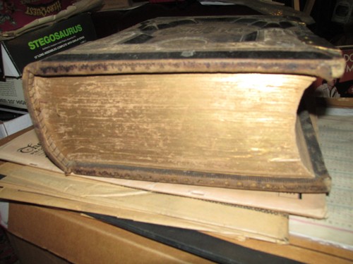 GERIEMTES antikes Buch Heilige Bibel ERBIN,NEVIN LEDER John E Potter & Co 1870er - Bild 4 von 24