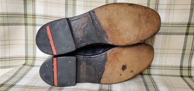 Alden Shell Cordovan