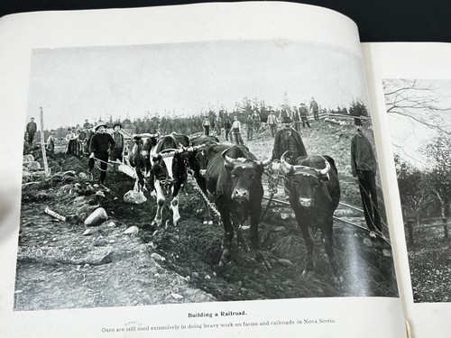 Evangeline Land 1900 Tourist Souvenir Photo Book Yarmouth Nova Scotia Acadia - Picture 11 of 24