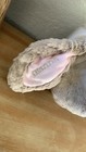 Bild 9 von 13