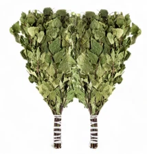 SET OF 2 Large Birch Sauna Whisk Russia Venik Spa Broom Веник для бани