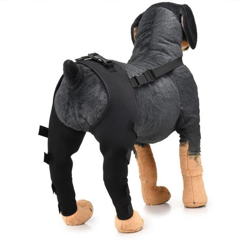 1 Pair Dog Knee Brace Dog Braces For Back Leg Support Dog Knee Support Sleeve - Picture 9 of 13