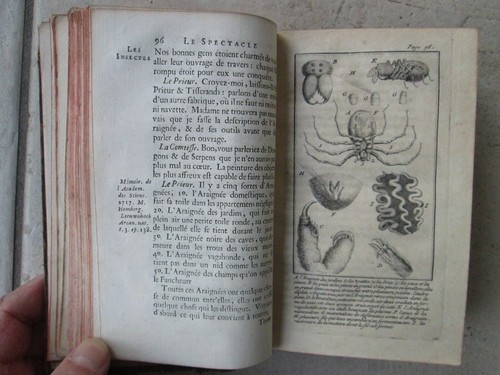 PLUCHE : LE SPECTACLE DE LA NATURE, 1733. Tome 1 avec 17 planches. - Picture 7 of 24