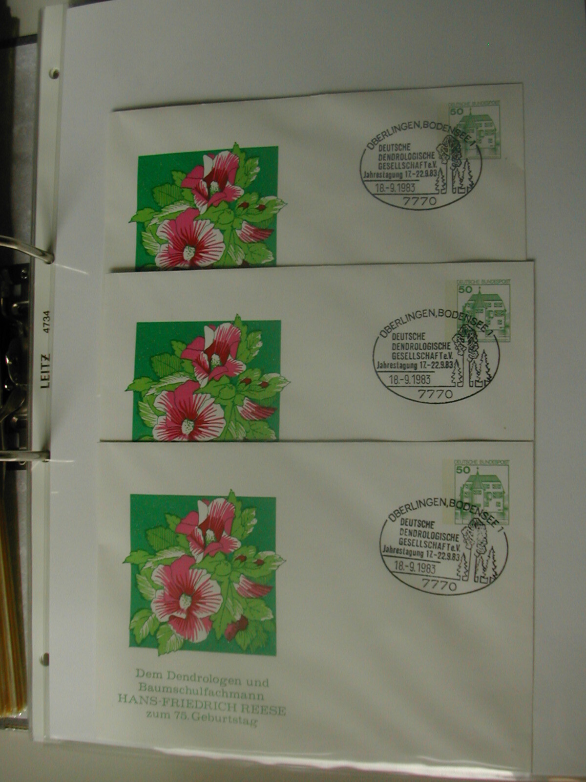 Bild 9 von 12