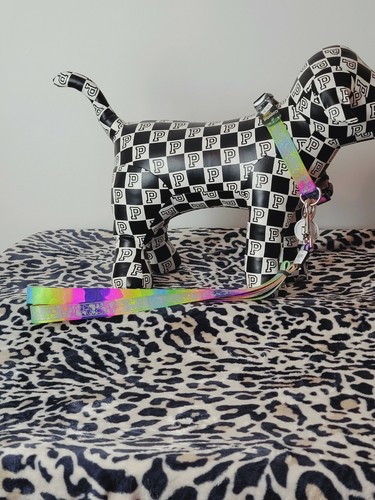 Coastal Lazer Brite Hundehalsband & Leine Set NEU MIT ETIKETT GROß Regenbogen Reflektor