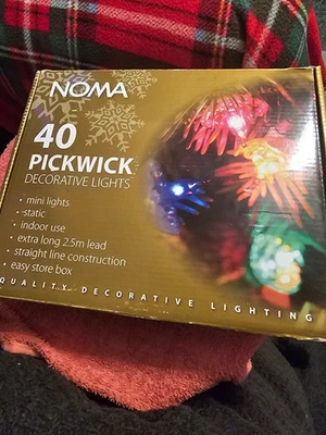 Noma 40 pickwick fairy light's