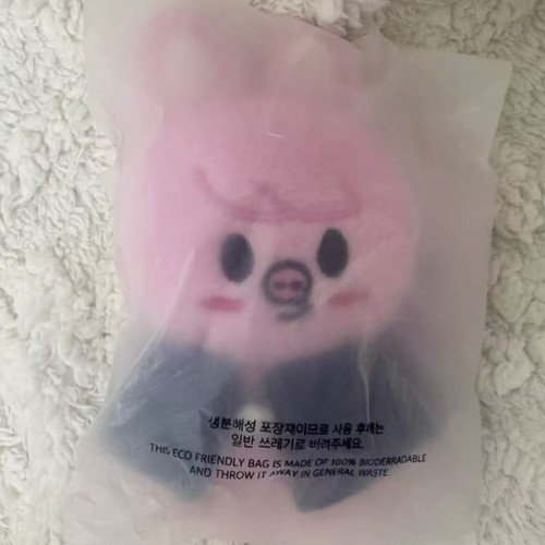 STRAY KIDS SKZOO PELUCHE 10CM ver POP-UP 4TH FANMEETING SKZ'S MAGIC SCHOOL - Imagen 4 de 9