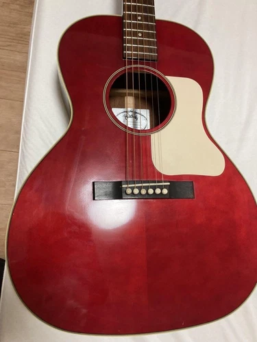 Headway Acoustic Guitar TUSQ Saddle & Bridge Pins Low Action Hard Case Included
