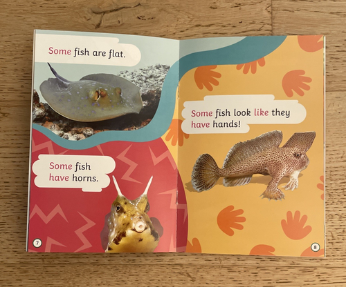 TWINKLE RHINO READERS BUNDLE NEW UNUSED 6 BOOKS DIARIES NOTEBOOK STICKERS - Picture 4 of 7