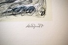 Foto 6 di 9
