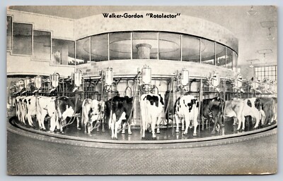 Walker Gordon Rotolactor Advertising Postcard Washes & Milks Cows Plainsboro NJ