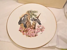 Boehm Porcelain Bird Plate Downy Woodpeckers Woodland Bird Series