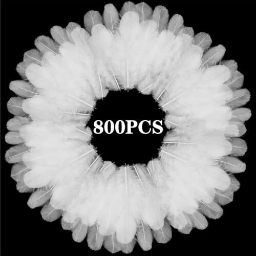 800Pcs White Craft Rooster Feathers 3-5 inch Bulk Feathers for Crafting - Bild 1 von 7