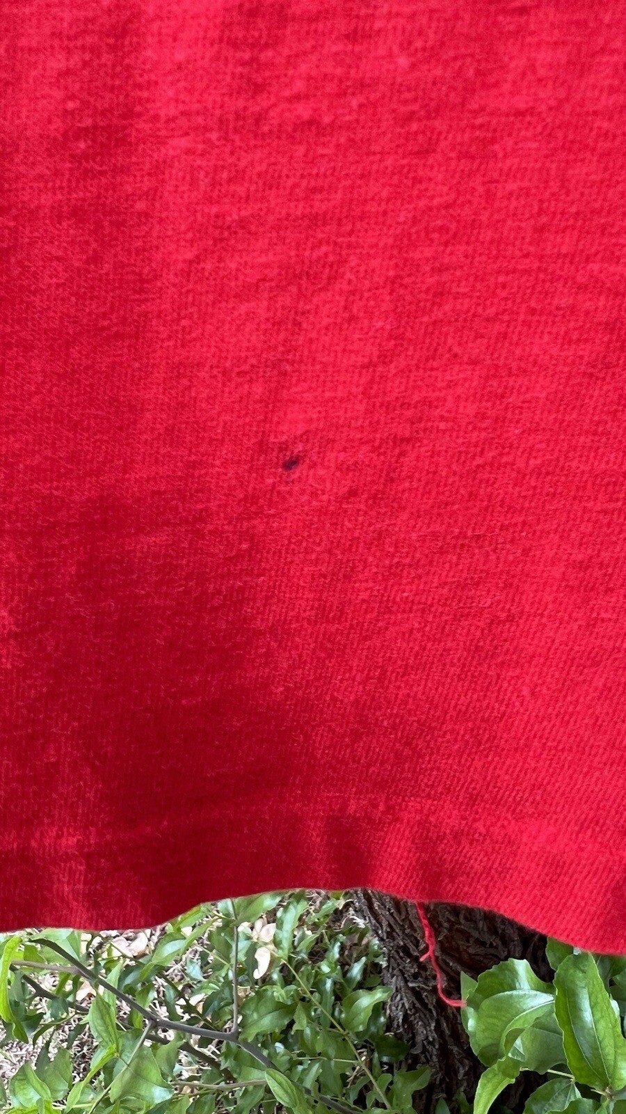 Picture 11 of 16