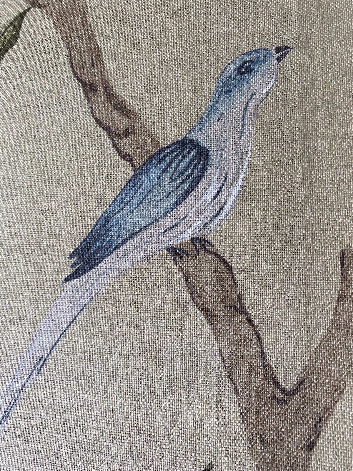 Picture 9 of 16