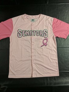 harrisburg senators jersey