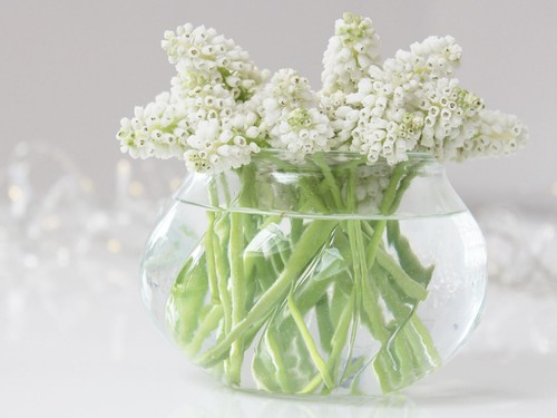 JARRÓN DE LUZ DE TÉ DE VIDRIO SHABBY BUD SOPORTE PARA VELAS BODA DE COLECCIÓN HOGAR NAVIDAD - Imagen 4 de 6