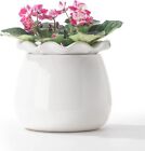 Self Watering Plant Pot, 6 Inch African Violet Pots Maintenance, Ceramic Planter