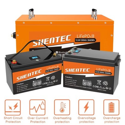 24V/12V LiFePO4 Akku 300Ah 200Ah 100Ah Lithium Batterie BMS für Wohnmobil Boot