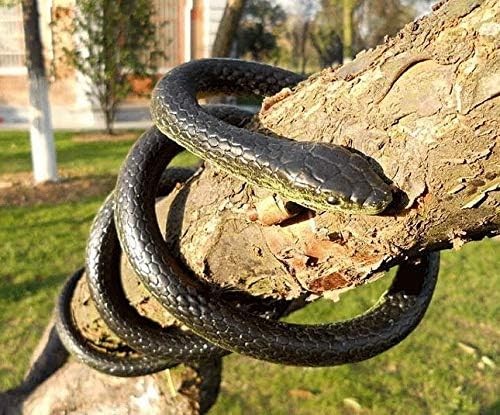 47 Inches Rubber Lifelike Snakes Scary Gag Gift Incredible Creatures Chain... - Picture 6 of 8