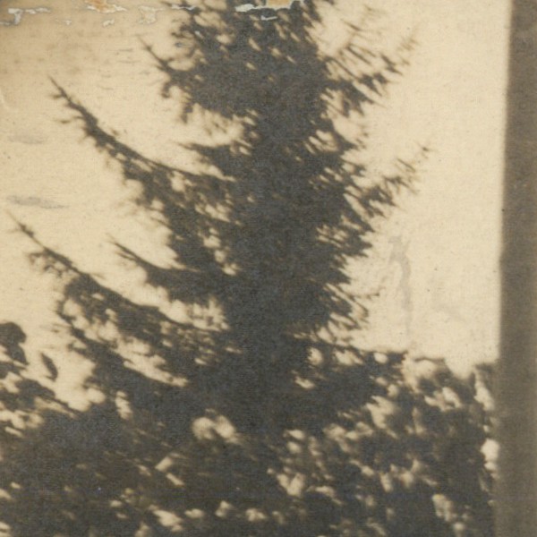 Picture 3 of 5