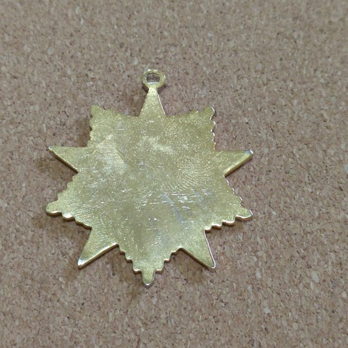 Books And Beyond Award Pendant Red White Blue Gold - Picture 2 of 3