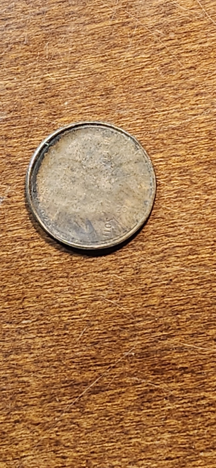 Picture 5 of 14