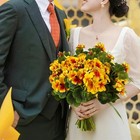 Picture 5 of 8