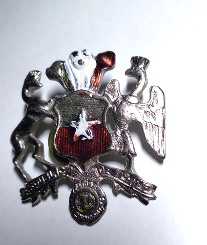 Insignia prendedor solapa club de leones República de Chile vintage 1,5" - Imagen 4 de 6