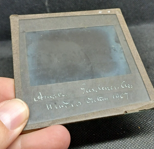 Antique Glass Lantern Slide Amateur Gardeners Windsor? 1907 - Picture 2 of 2