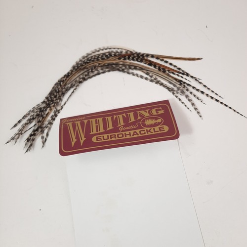 Whiting Grizzly Variant Feathers Med Thin 8-12" Euro Hackle Dry Fly Extensions - Picture 3 of 5