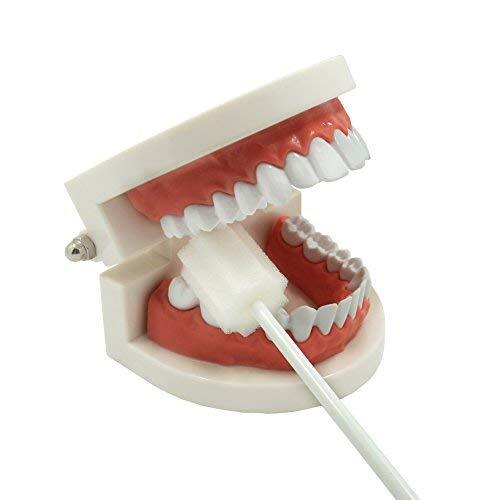 Oral Swabs Disposable Untreated And Unflavored Mouth Oral Cleaning Sponge Toothb - Picture 4 of 9