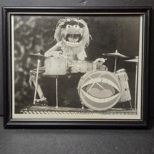 Jim Henson ANIMAL Drum "The Muppet Show" Promo 70s 8x10 Photo Dr. Teeth Band - Picture 4 of 14